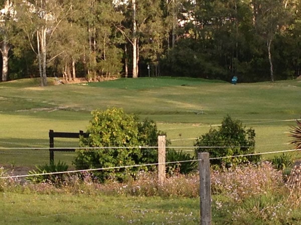 My golf green from approximately 140 metres