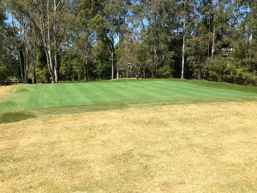 green-full2