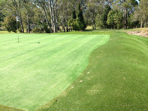 The right side. More mounds and the bunker is hiding to the right.