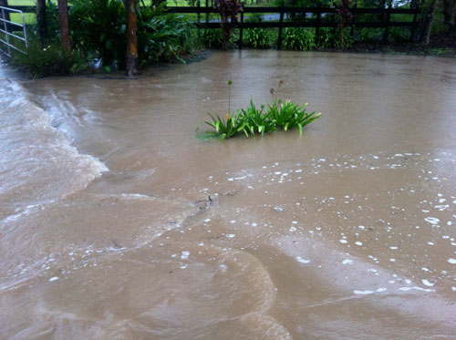 The same tee underwater. It is there somewhere...