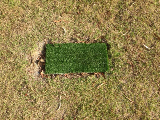 Another mini-tee. This one is half the size and a slightly longer pile.