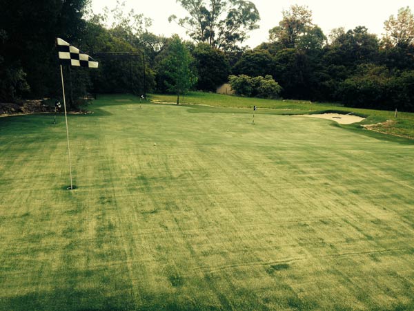 Golf Green Mt. Eliza - view from top of green.