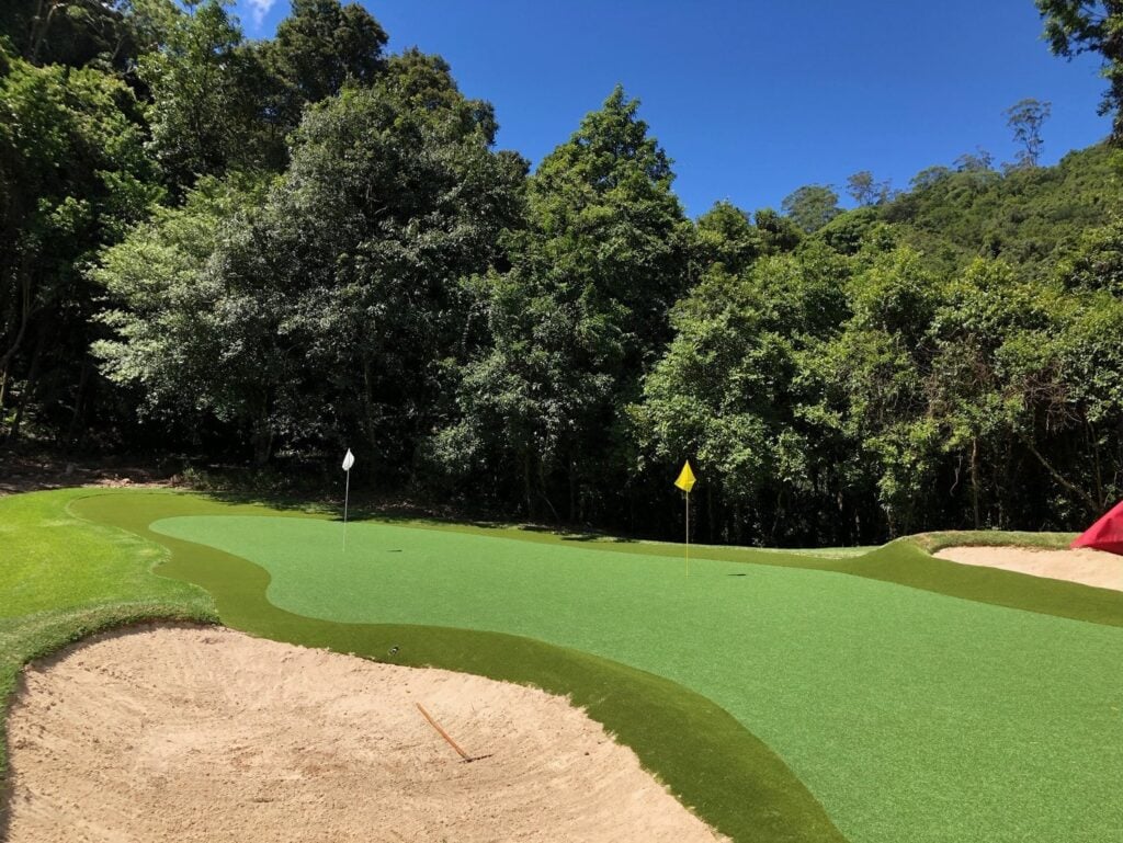 Amazing backyard synthetic golf green